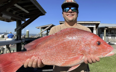 Snapper Fishing 2026 Starts of Great!