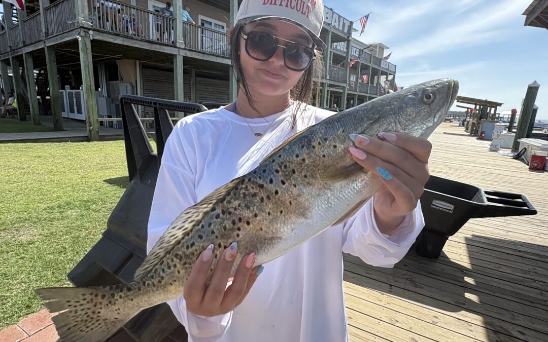Speckled Trout in May